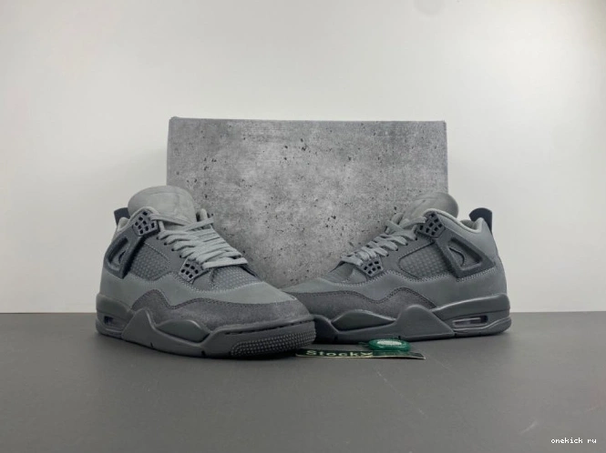 Chep Onekick Jordan 4 Olympics SE Air Paris 0704